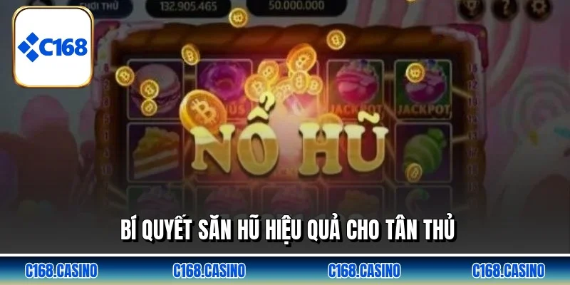 Bí quyết săn hũ hiệu quả cho tân thủ