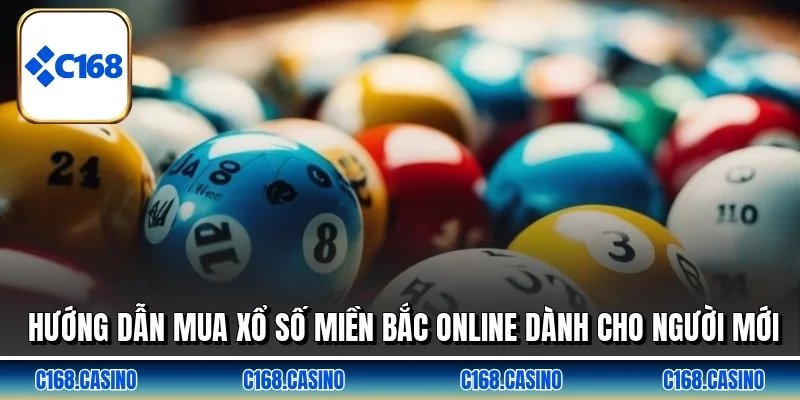 Hướng dẫn mua xổ số miền bắc online dành cho người mới
